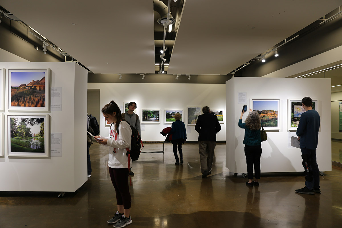 image of exhibit in Circle Gallery